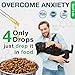 Animalest - Hemp Oil Dogs Cats - 1250 Mg - Relief Dog Cat Hemp Oil Calming Treats - Pets Anxiety Tension Hip Seizures Joint Pain Remedy Arthritis Sleep Stress - Omega 3,6,9 Pet Vitamins - 6in1 Drops