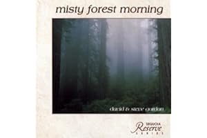 Misty Forest Morning