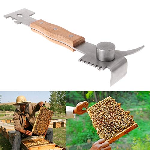Beekeeping Tools - 1 Pcs Stainless Steel Bee Multifunctional Scraper Beekeeping Knife Wooden Handle - Beekeeping Tools Equipment House Tool Scraper Keep Beehive Supplies Beekeep Fold Knife Stai