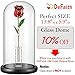 DEFAITH 24k Gold Dipped Rose with Crystal Stand (Red Original)