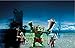Playmobil Giant Troll with Dwarf Fighters Playset Building Kit
