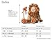 InCharacter Costumes Baby's Lil' Monkey Costume, Brown/Tan, Medium (12-18 Months)