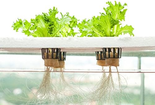 Sitrus Hydroponic Plant Nutrient Kit Consists Of Calcium Nitrate, Magnesium Sulphate,Mixture Of Micro Nutrient, Potassium, Nitrogen & Phosphorus Salts