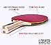 Looper Premium 4 Paddle 8 Ball Ping Pong Set & Easy-Store Case | 6 Star Table Tennis Racket | Top Tier Bat, Rubber, Sponge, and Solid Wood Grip | Best Pack for Youth to Professional ITTF Game Players