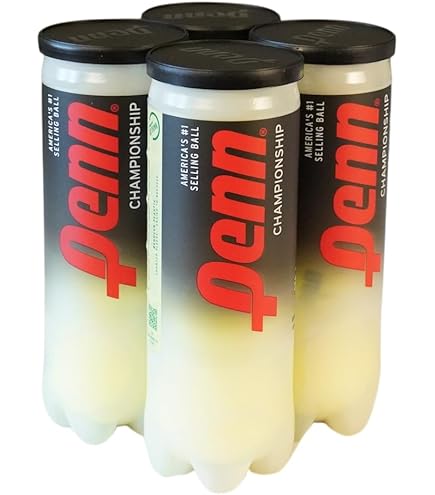 Palline Da Tennis Wilson Roland Garros - Confezione Da 4 Palline Per Tutte Le Superfici - Foto 4