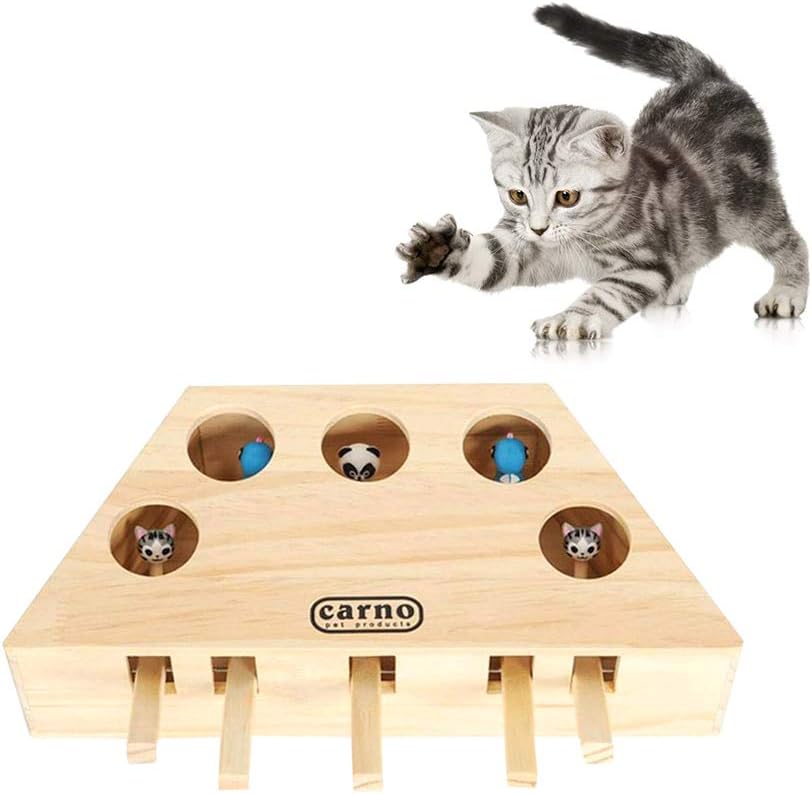 Souarts Katzenspielzeug Set Interaktiv Katze Intelligenzspielzeug für