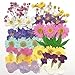 CheeseandU Real Dried Pressed Flowers, Babysbreath, Chrysanthemum, Pink, Larkspur, Hydrange Green Maple Leaves Mixed Multiple Natural Pressed Flowers for Art Craft DIY Resin, 42PCS