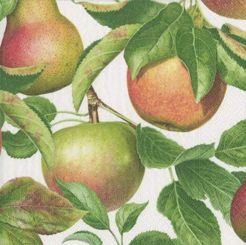 Amazon Com Paper Napkins Farmhouse Christmas Decor Country