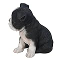 Pacific Giftware Adorable Seated Boston Terrier Puppy Collectible Figurine Amazing Dog Likeness Hand Painted Resin 6.5 inch Figurine Great for Dog Lovers Tabletop Decor