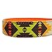 Blueberry Pet 2 Colors Soft & Comfy Southwestern Vintage Tribal Print Padded Adjustable Dog Collar, Extravagant Orange, Medium, Neck 14.5