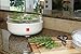 Ronco 5-Tray Electric Food Dehydrator