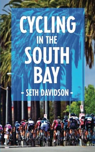 South Bay: Davidson, Seth: Amazon.sg 