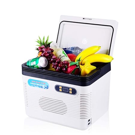COOLER Nevera Portatil Pequeia Electrica 12V 220V-240V Nevera ...