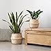 Seagrass Planter Basket | Decorative Woven Belly Basket | Picnic Basket or Indoor Storage for Blankets, Toys or Laundry, by Toma Design (Natural, Large)