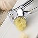 TRIXES Steel Garlic Press Ginger Mincer Kitchen Equipment Utensil Gadget