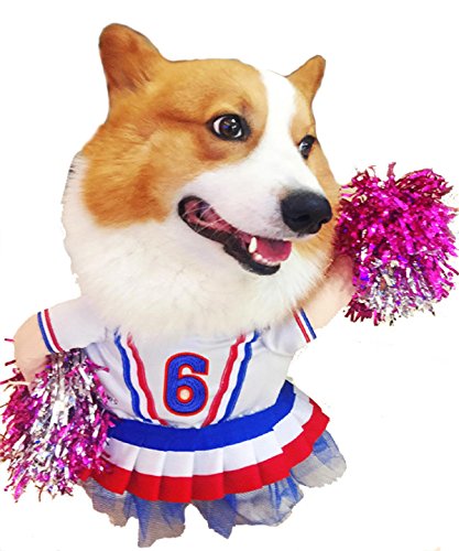 PetBoBo Pet Dog Cat Halloween Party Fancy Tidy Costume for Dog Cat Jacket Apparel