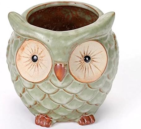 SweetLifeIdea Ceramic Owl Shaped Flower Planter Succulent Plant Pot (Large)