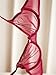 Sheer Bra and Panty Sets for Women, See Through Mesh Underwire Bras Briefs Lace Lingerie Set 2 Piece(V279TS0-34B-Red