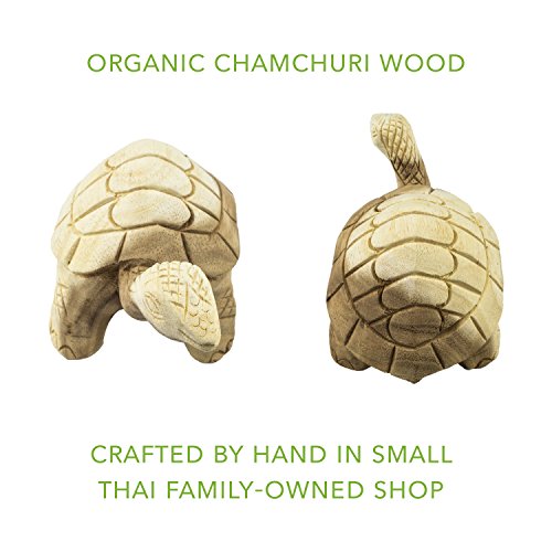 Organic Wood Turtle Rattle