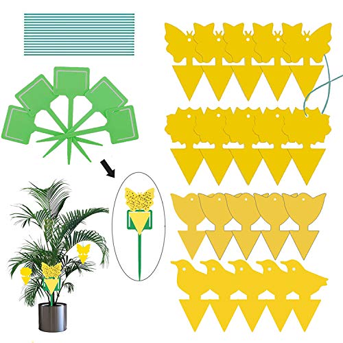 25 Pack Sticky Fruit Fly and Fungus Gnat Trap Yellow Sticky Bug Insect Killer for Indoor and Outdoor