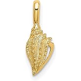 JewelryWeb 6mm 10k Solid Yellow Gold Mini Conch Shell Charm Pendant Necklace for Women