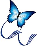 Hengda Kite So Beautiful Butterfly Kite Single Line Kite Incudes 30m String and Handle