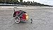 DoggyRide Novel Dog Jogger-Stroller, Outdoors Green