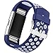 For Fitbit Charge 2 Bands, Large