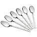 Lesbin Stainless Steel Flatware Dessert Spoon/Teapoon, Set of 12