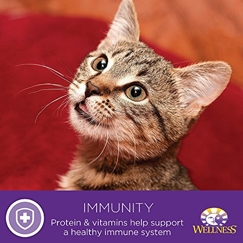 WELLNESS COMPLETE HEALTH GRAIN FREE CHICKEN & HERRING NATURAL WET CANNED CAT FOOD, 3-OUNCE CAN (PACK OF 24)