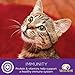 Wellness Divine Duos Grain Free Chicken & Turkey Natural Wet Cat Food, 2.8-Ounce Cup (Pack Of 24)