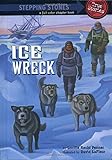 Ice Wreck (A Stepping Stone Book) by Lucille Recht Penner