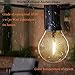 NEWPOW Outdoor String Lights 48ft with 23+2 Spare Bulbs, Shatterproof Dimmable Waterproof, LED 1W 60LM 2200K Warm Glow for Indoor/Outdoor Decoration and Lighting -Black Wire