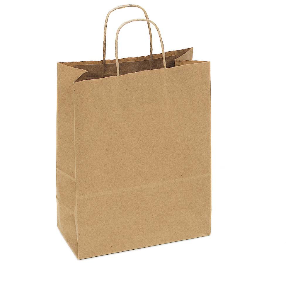 Brown Paper Bags, Strong Carrier Bags with Twisted Handles, 10x10 inches (approximate, based on typical gift bag sizes), 10 Count, Gift Wrap, Gift Giving, Birthday