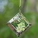 D'Eco Glass Mini Diamond Plant Terrarium (5x5x3.5) - Indoor Tabletop Copper Geometric Planter - Succulents, Air Plants, Moss - Home, Garden, Wedding & Office Decor- Gift Idea for Plant Lovers