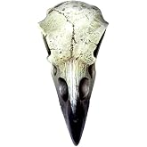 Alchemy The Vault V66 Reliquary Raven Skull Poly Resin