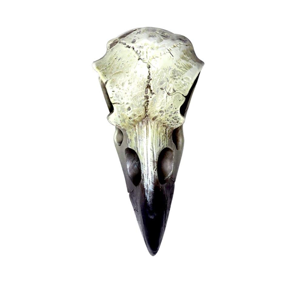 Photo 1 of Alchemy The Vault V66 Reliquary Raven Skull Poly Resin