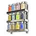 Stainless Steel Space Saving Wall Mountable Sturdy Construction 3-Tier Spice Rack Pantry Organizer
