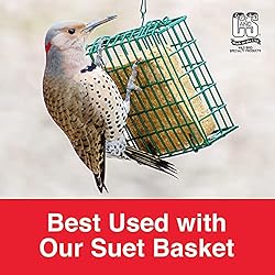 C&S Berry Suet Treat 11.75 Ounces, 12 Pack