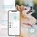 DOTT The Smart Dog Tag - Bluetooth Tracker for Dogs and Cats, Pet Finder, Virtual Leash, No Subscription (NOT A GPS Tracker)