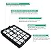 Think Crucial Replacement for Dirt Devil Style F45 HEPA Style Filter, Foam Pre-Filter, & Exhaust Filter, Compatible With Part # 2KQ0107000, 2KQ0104000 1KQ0106000