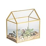 Brass Copper House Shape Close Glass Geometric Terrariumn Tabletop Succulent Plant Box Garden Geo Planter Moss Fern with Swing Lid Reptile 6.1 x 6.3 x 4.33 inches