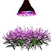 MAIBET LED Plant Growing Light Bulbs,E26 12W Full Spectrum for Outdoor/Indoor Greenhouse Germination Growing (12W)