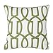 Embroidery Geometric Links Accent Decorative Pillow Cover Sofa Cushion Case, Green White,Two Sides