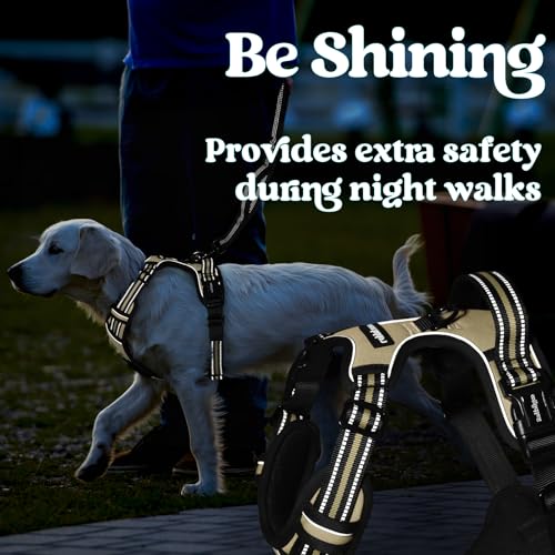 rabbitgoo Medium Dog Harness with 3 Buckles, Neck Release, Adjustable Dog Harness with Handle and Front Clip, Reflective Anti-Pull Harness for Dogs Training Running, Brown, L