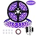 33ft/10M Black Light Strip,GLIME Black Light Beads 600 Units LED 12V Flexible Blacklight for Lighting Indoor Fluorescent Dance Halloween Party,Stage Lighting,Christmas Decoration,Bed Room