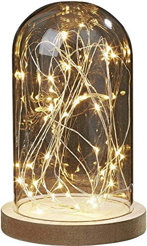 Hellum Cloche en verre avec guirlande lumineuse 30 LED Blanc chaud, Cloche en verre avec fond en bois, 19,5 x ⌀ 12 cm, Décoration de Saint-Valentin, Fonctionne avec piles (non incluses) 523713