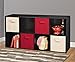 ClosetMaid 1575 Cubeicals 8 Cube Organizer, Black