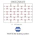 Brunoplast Nivifix Tile Leveling System 250 pcs. Straight spacers (Standard spacers) for 1.7 mm / 0.07 inch Joint Width (Paving System, Tile Laying, Tile Installation)
