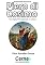 Livro Apresentando pinturas de Piero di Cosimo Com display TFT programado no Arduino
